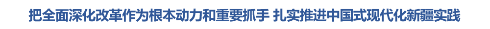 自治区党委全面深化改革委员会召开会议