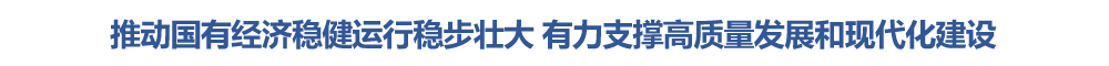 马兴瑞在自治区部分国有企业调研